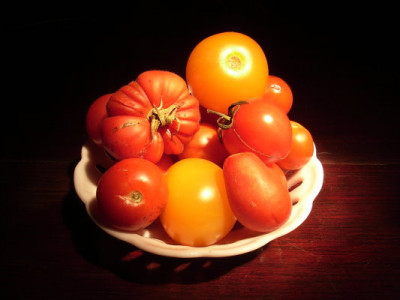 tomatenteller.JPG