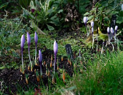 DSC_8759_DxO.jpg
