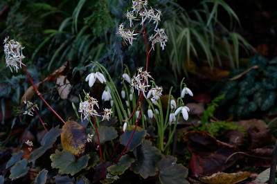 DSC_8762_DxO.jpg