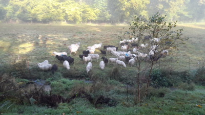 IMG-20241012-WA0014.jpeg