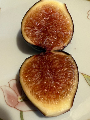 Negronne
