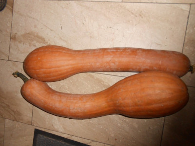 DSCN7968.JPG