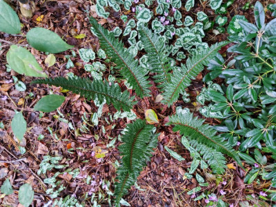 20241014_095750.jpg