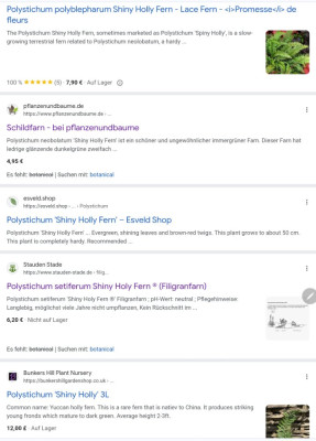 Screenshot_20241014_111303_Chrome.jpg