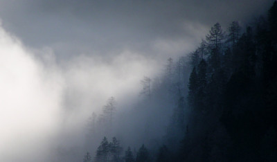 nebelmeer_12_12_nordhang.jpg