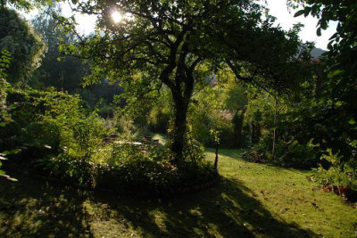apfelbaumbeet_morgens.JPG
