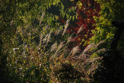 graserbeet_08_herbst.jpg