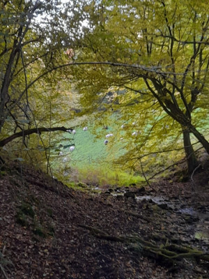 20241016_180241.jpg