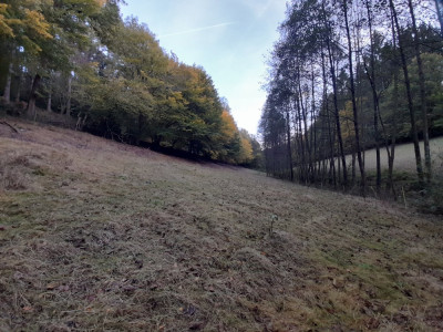 20241016_180618.jpg