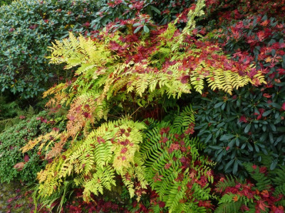 P1050060.jpg