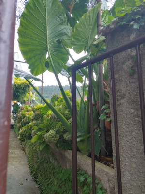20241017_081538_HDR.jpg
