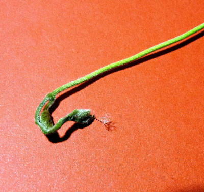 P1120119.JPG
