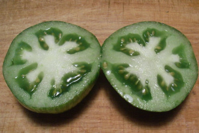 green_zebra.JPG