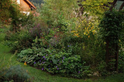 sommerbeet_im_herbst_bunt.jpg