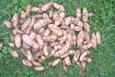 K640_100_5906.JPG