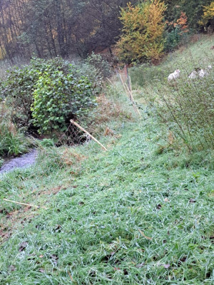 IMG-20241023-WA0006.jpg