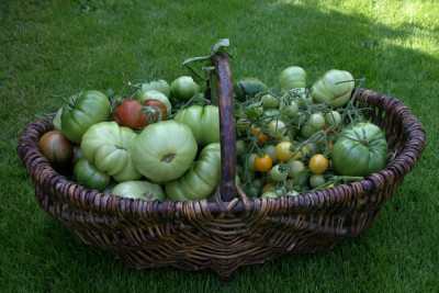 Sept.0808.jpg