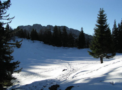 nebelmeer_12_12_hochwiese.jpg