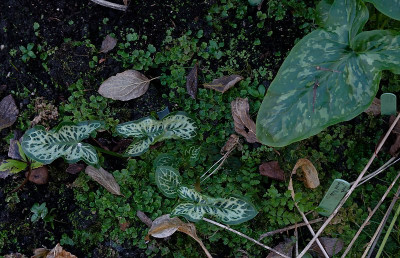 DSC_8775_DxO.jpg