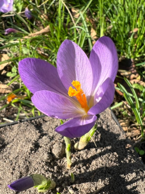 IMG_4687.jpeg (304.47 KiB) 1493 mal betrachtet ? ? ? was soll's