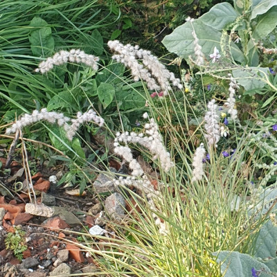 20241026_095020.jpg