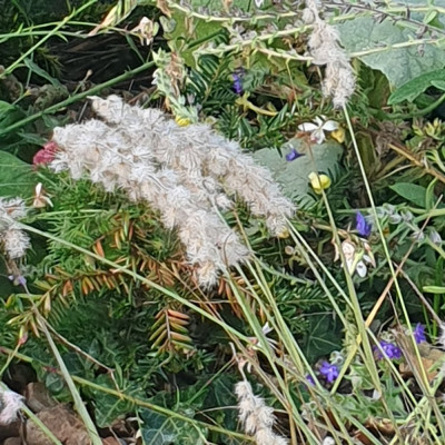 20241026_095038.jpg