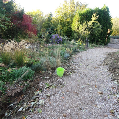 20241023_151120.jpg