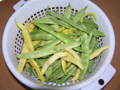 ernte210908.jpg