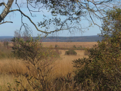 11a.JPG