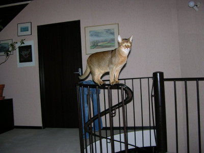 DSCN6794.JPG