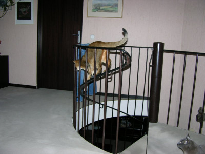DSCN6795.JPG