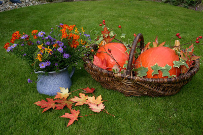 Herbst0208.jpg