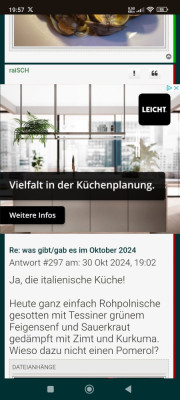 Screenshot_2024-10-30-19-57-01-525_com.android.chrome.jpg