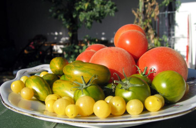 Ernte0809221.JPG