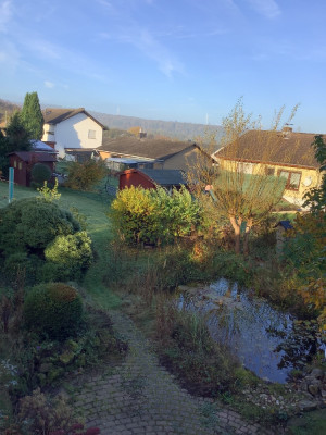 IMG_0336.jpeg