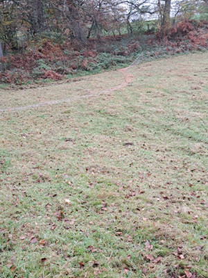 IMG-20241105-WA0010.jpg