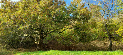 20241030_080628.jpg