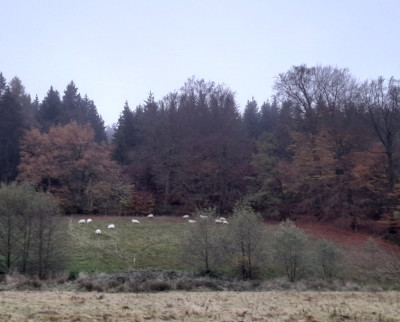 20241106_162204.jpg