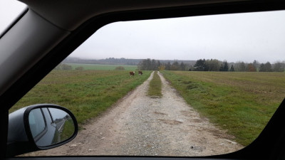 IMG-20241106-WA0000.jpeg