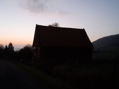 20241109_172319.jpg