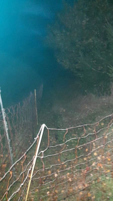 IMG-20241111-WA0048.jpeg
