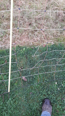 IMG-20241113-WA0000.jpeg
