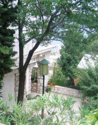 2008_08_24_BAGREM_Croatia_tree.jpg