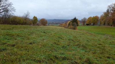 IMG-20241114-WA0010.jpeg
