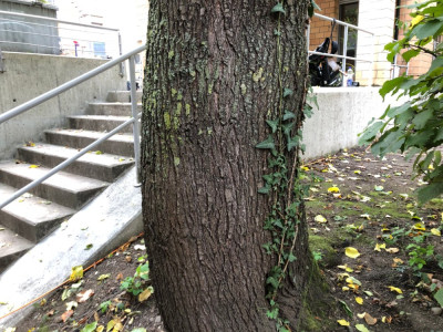 01_IMG_6418.jpeg