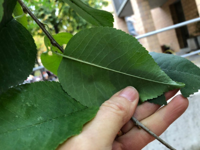 04_IMG_6423.jpeg