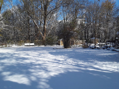 Winter.jpg