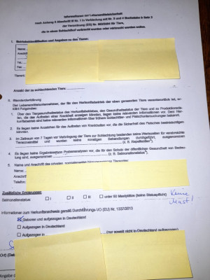 20241122_170520.jpg