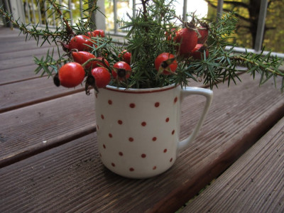 buttenwacholder11.img.JPG