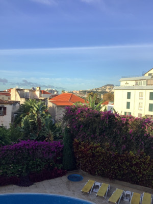 IMG_0355.jpeg